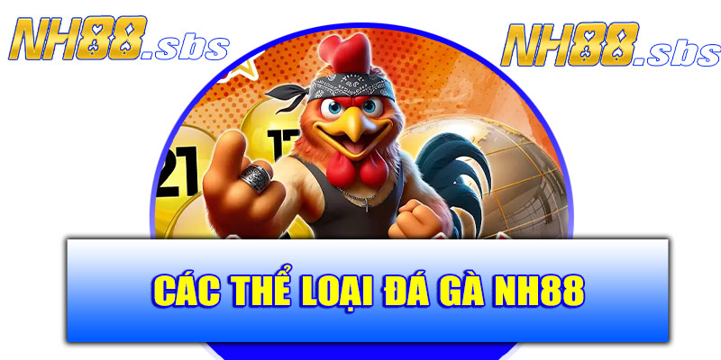 Các thể loại đá gà hấp dẫn tại NH88