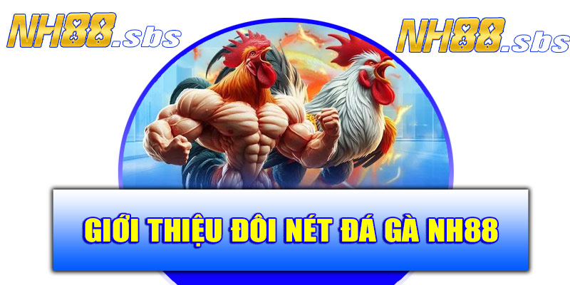 Giới thiệu chuyên mục đá gà NH88 – Đỉnh cao giải trí trực tuyến