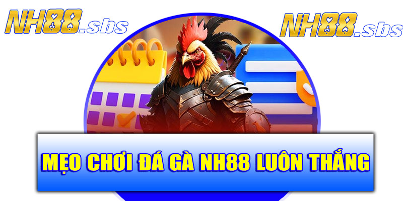 Bật mí mẹo chơi đá gà NH88 luôn thắng
