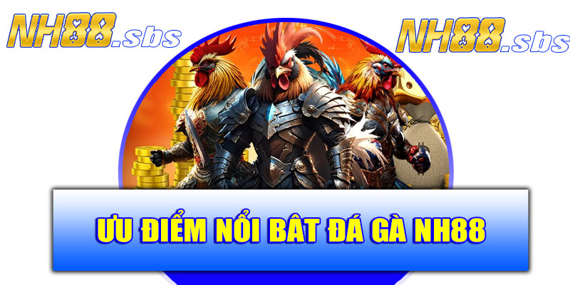 Ưu điểm nổi bật khi chơi đá gà NH88